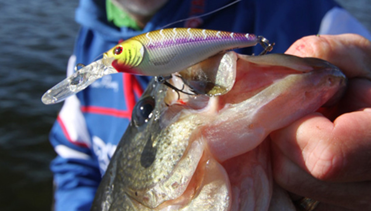 An Over-Looked Crank For Cold-Weather Bass