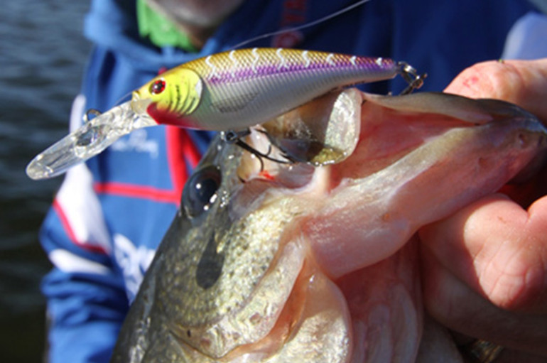 An Over-Looked Crank For Cold-Weather Bass