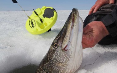 Best Line For Ice Fishing? All of ’em!