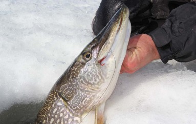 When to Use Mono Ice Fishing