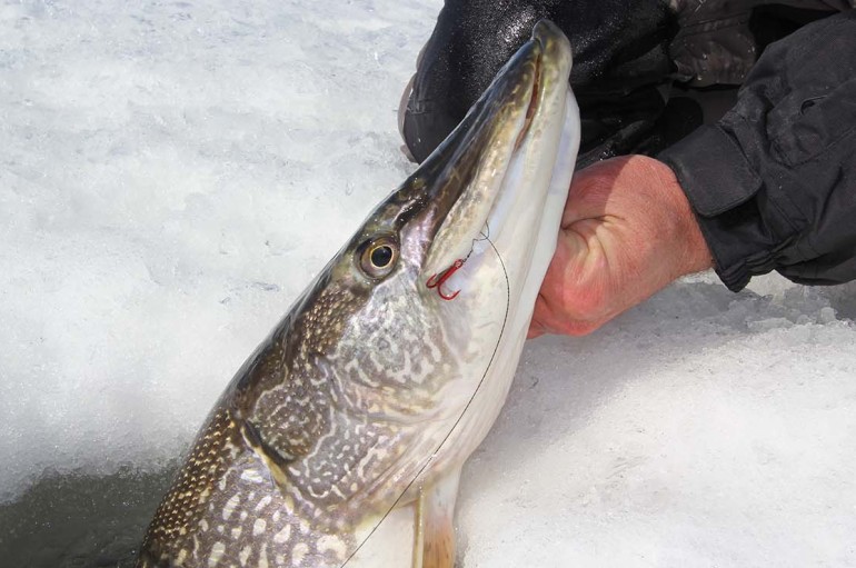 When to Use Mono Ice Fishing