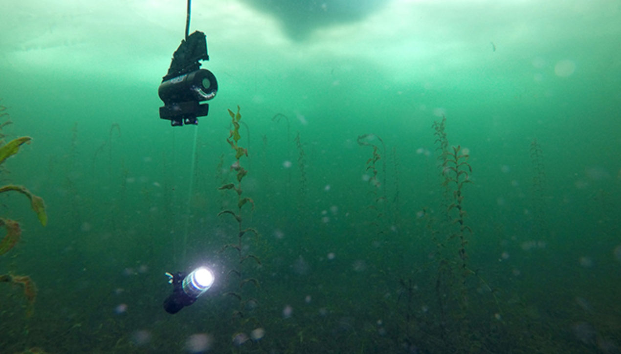 Aqua-Vu XD™ – Versatile Underwater Viewing