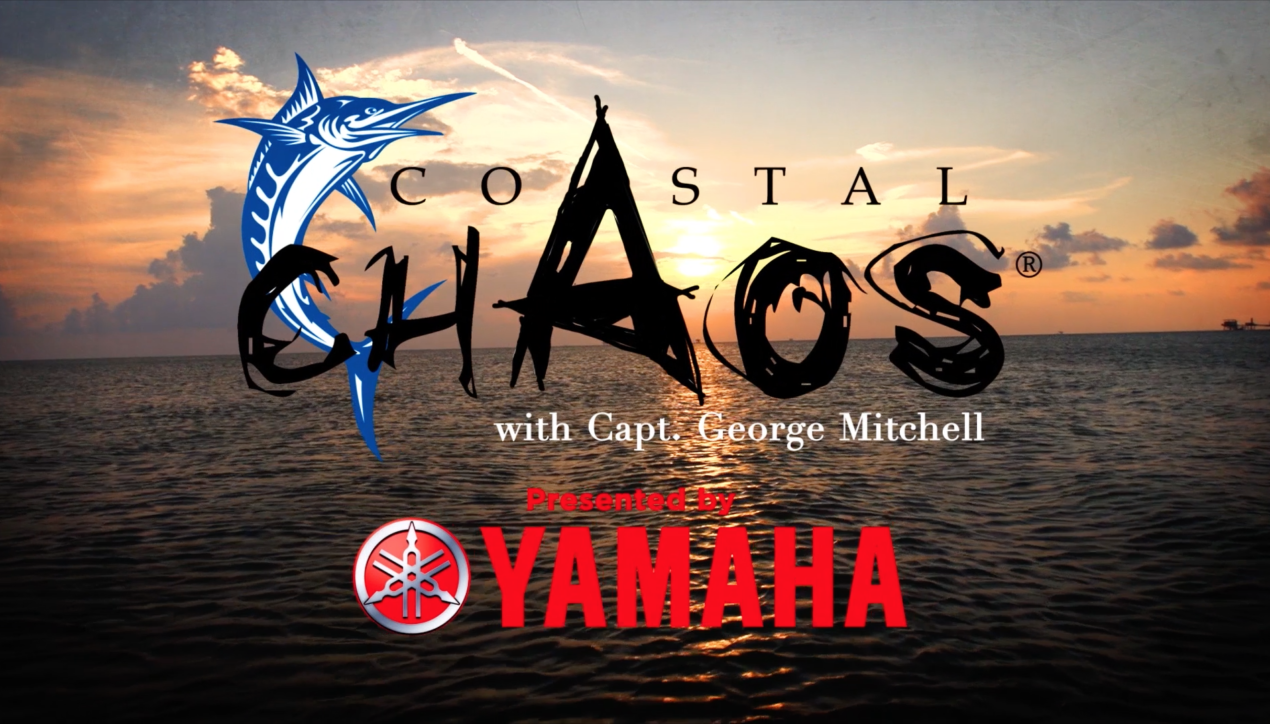 Coastal Chaos – Season 5