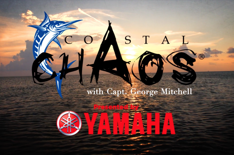 Coastal Chaos – Season 5
